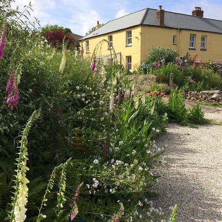 Frizenham Farmhouse Little Torrington Экстерьер фото
