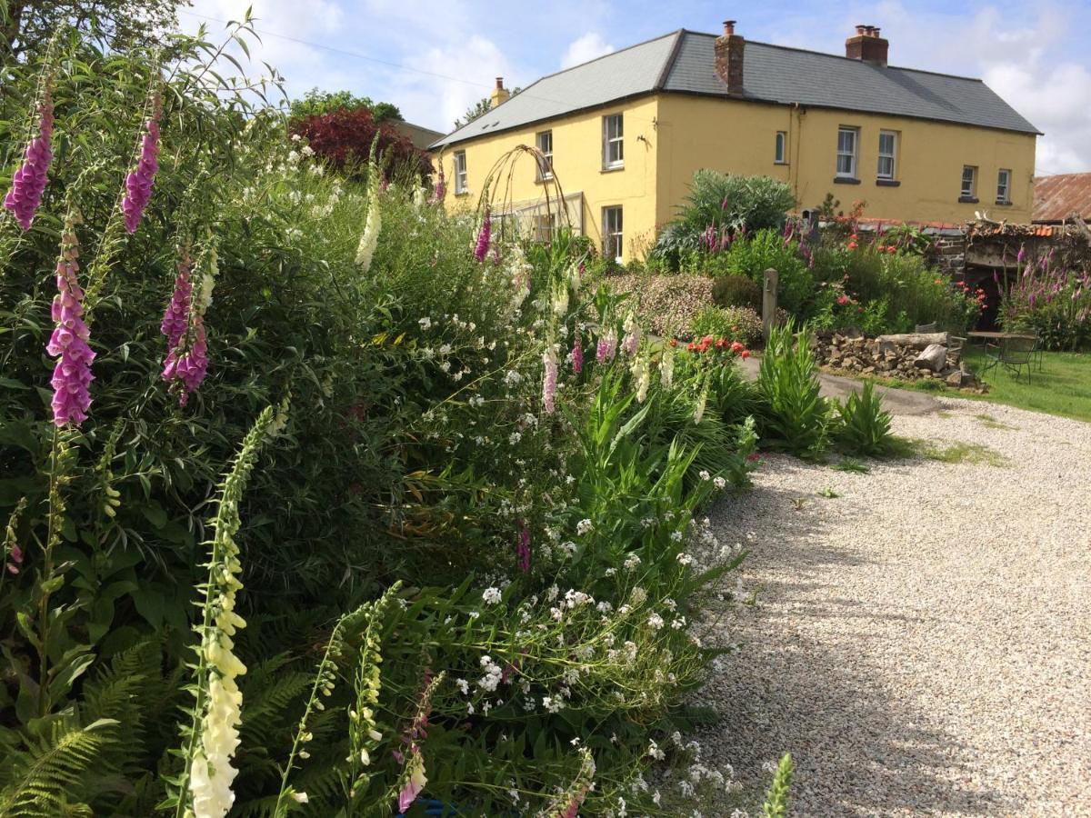 Frizenham Farmhouse Little Torrington Экстерьер фото