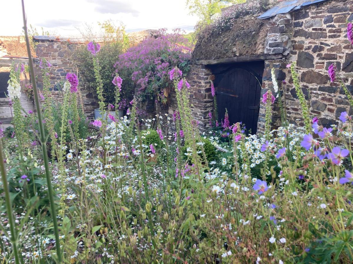 Frizenham Farmhouse Little Torrington Экстерьер фото